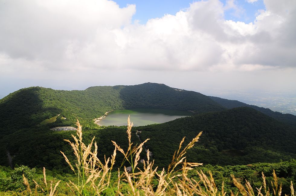 マツムシソウとハクサンフウロ・・・赤城・地蔵岳にて_a0031821_20435697.jpg