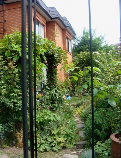 f0170524_1235867.jpg
