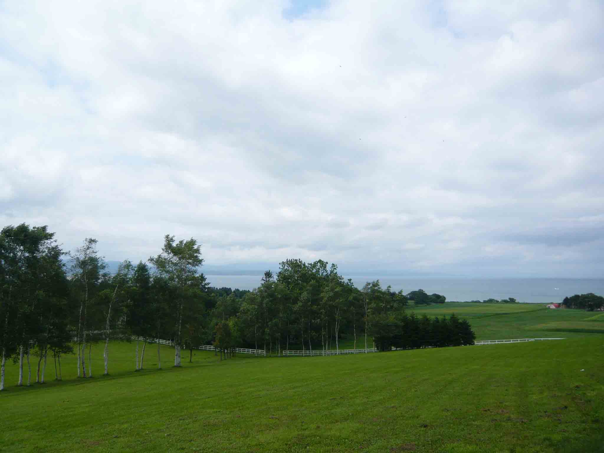 b0171627_1239448.jpg