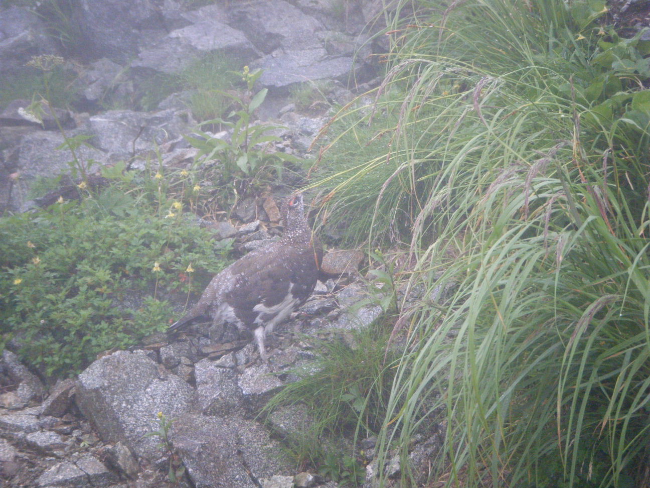 夏休み剱岳合宿_b0133032_23572560.jpg