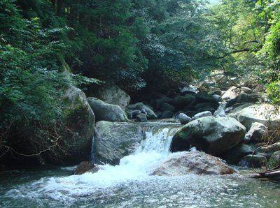 a0129233_1674499.jpg