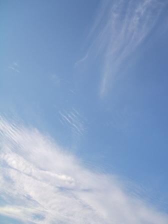 夏休みpartⅡ_d0113636_755075.jpg