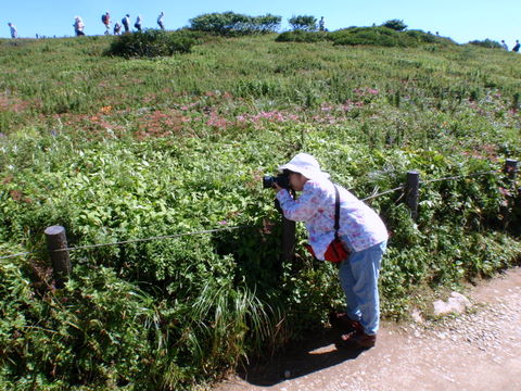 b0168843_9264266.jpg