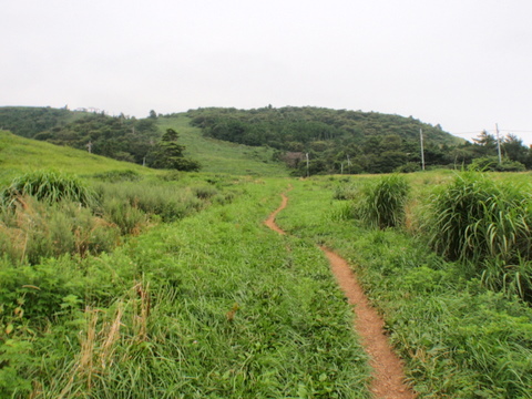 b0168843_99282.jpg