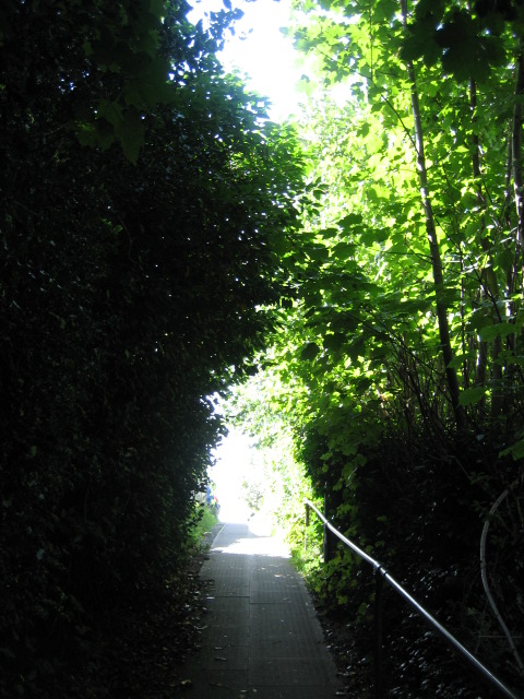 e0009547_50595.jpg