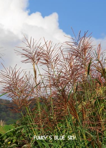 c0145250_16383424.jpg