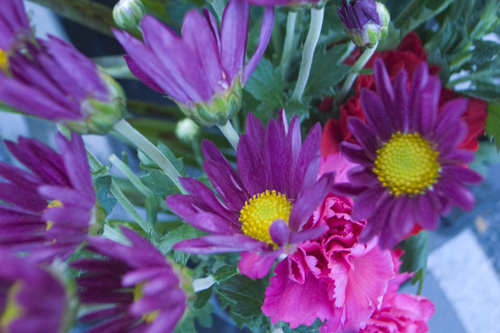c0092152_422450.jpg
