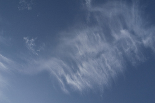 c0092152_42685.jpg