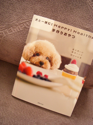 わんちゃんのおやちゅ!_f0196753_19242782.jpg