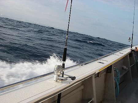 a0056654_17582143.jpg