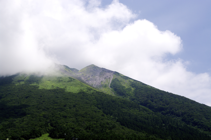 The gardian mountain  守護山_e0082860_14192419.jpg