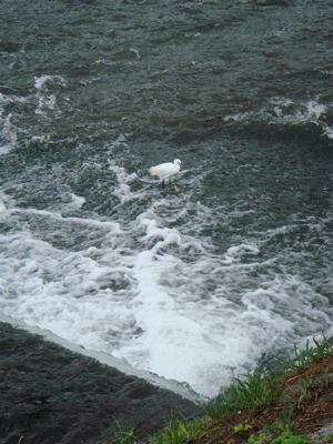 e0125762_03791.jpg