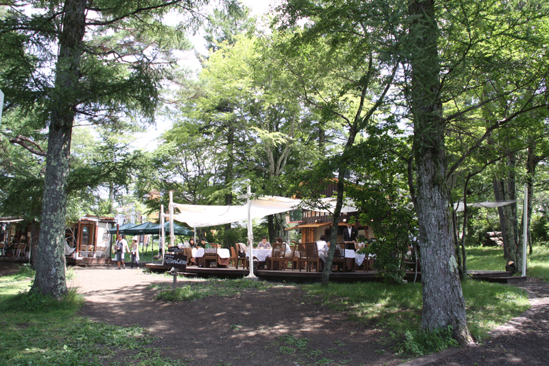 f0107364_150455.gif
