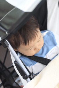 f0107364_2515621.gif