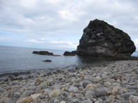 f0205268_83796.jpg