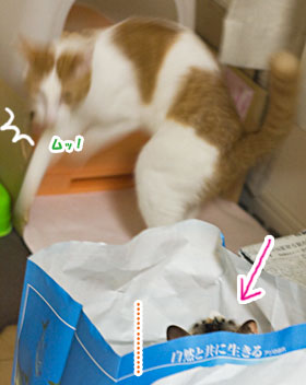 待ち伏せとスタイル_a0119470_0552370.jpg