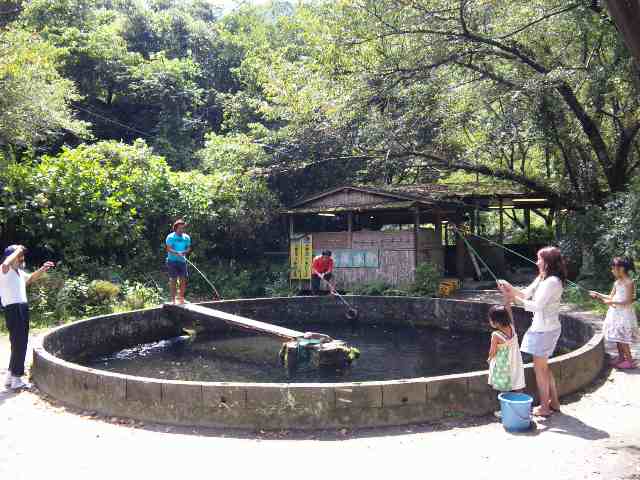 和歌山県田辺市　赤木渓水郷_e0090970_12415154.jpg