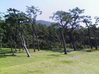 沼津御用邸記念公園_e0141270_950239.jpg