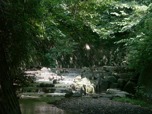 e0164571_91693.jpg