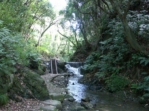 e0164571_9182278.jpg