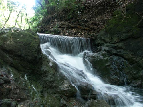 e0164571_9232047.jpg