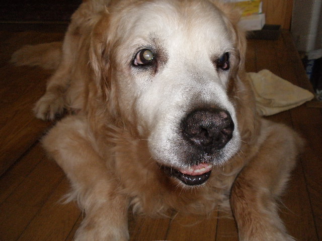 b0157276_21335963.jpg