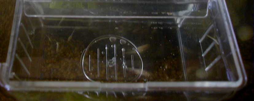 e0126576_9133553.jpg
