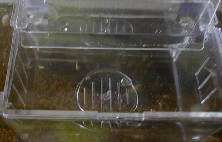 e0126576_95194.jpg