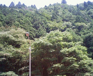 e0184077_20263940.jpg