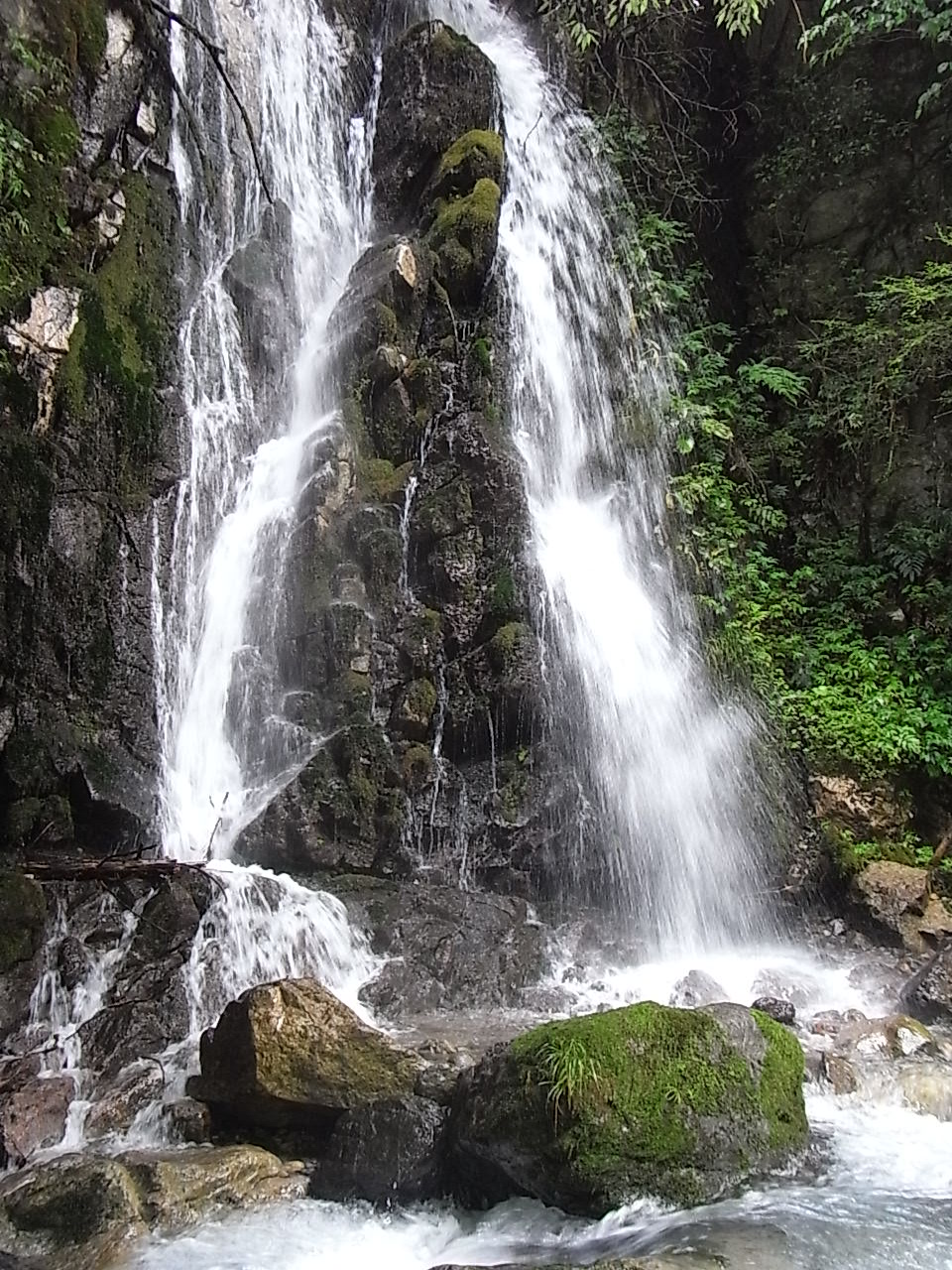 美山の川遊び_b0126479_012776.jpg