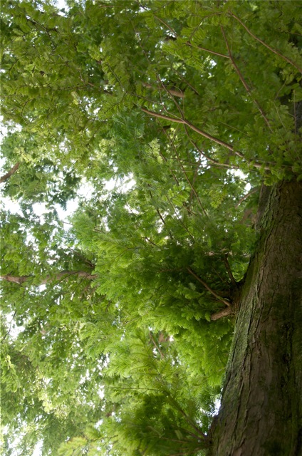 e0047682_03535.jpg