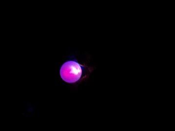 e0131083_17234765.jpg