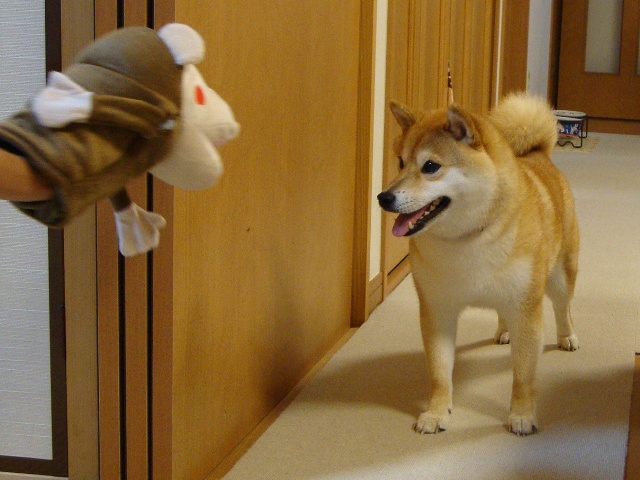 まんまる_a0126590_21404964.jpg