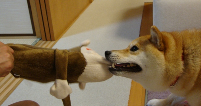 まんまる_a0126590_21423771.jpg
