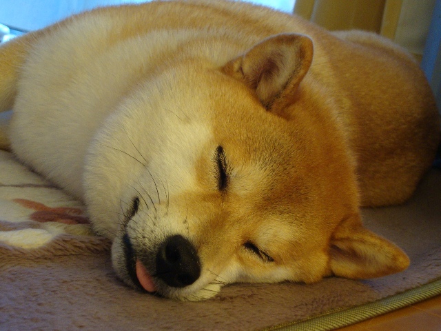 まんまる_a0126590_21425557.jpg