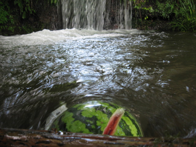 e0185092_16143815.jpg