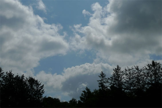 b0171193_1617244.jpg