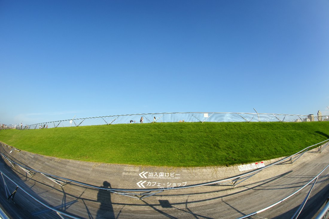 c0124795_8162846.jpg