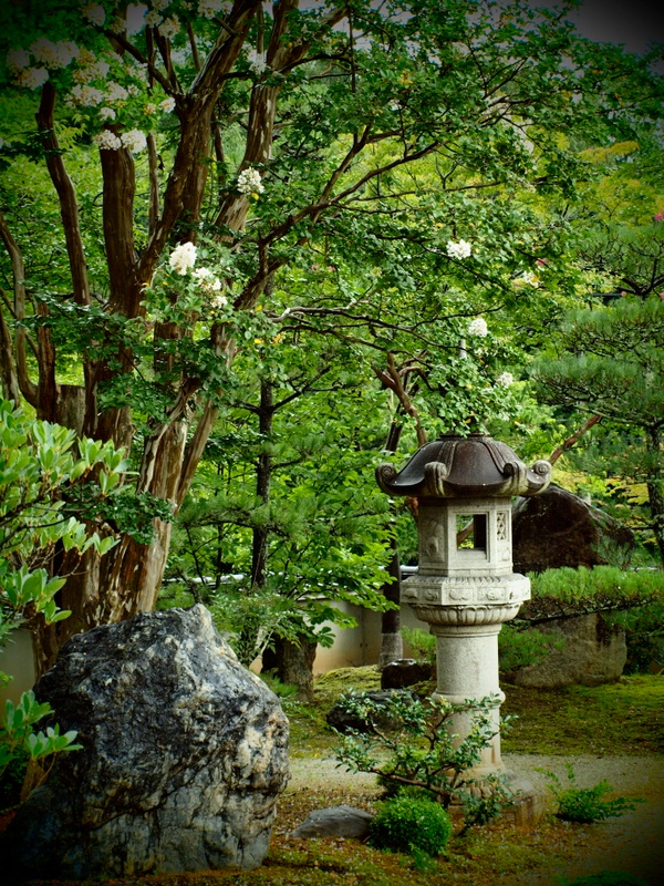 雨の京都散策～妙満寺編②_b0138101_2135917.jpg