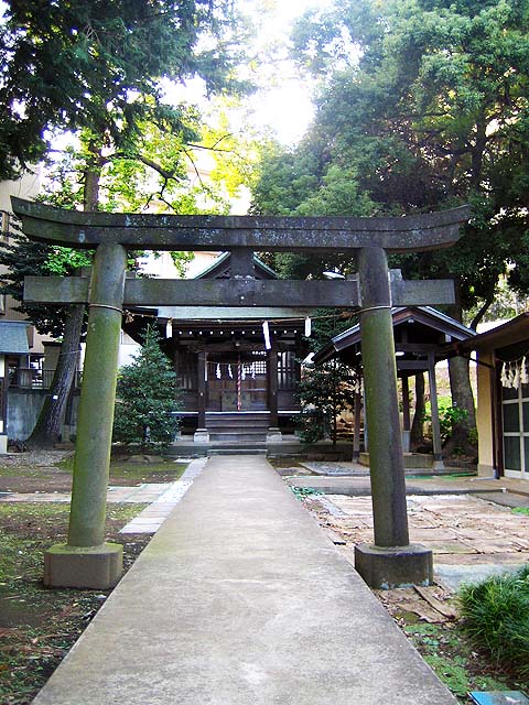 c0163001_2352934.jpg