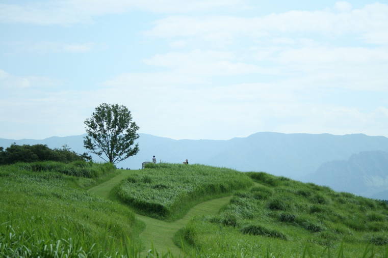 f0031304_10351129.jpg