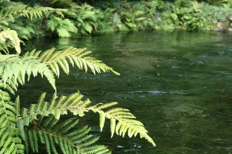 f0031304_11194426.jpg