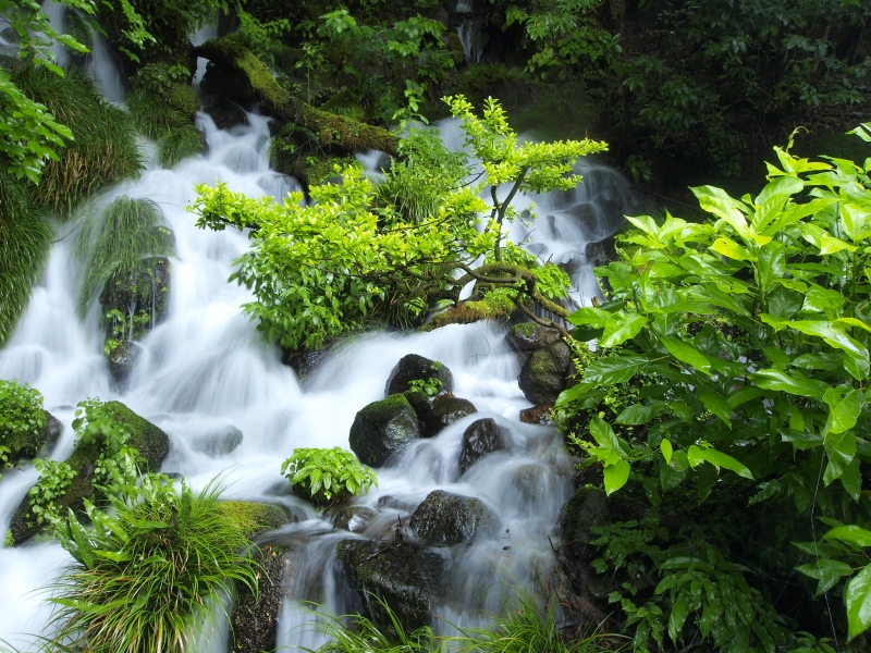 c0156908_23332072.jpg