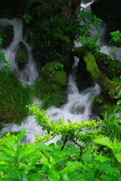 c0156908_233769.jpg