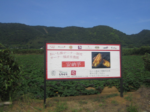 b0076710_1592987.jpg