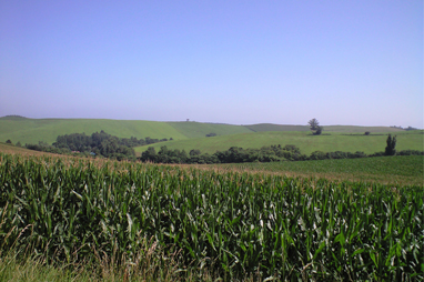 a0052011_2059059.jpg