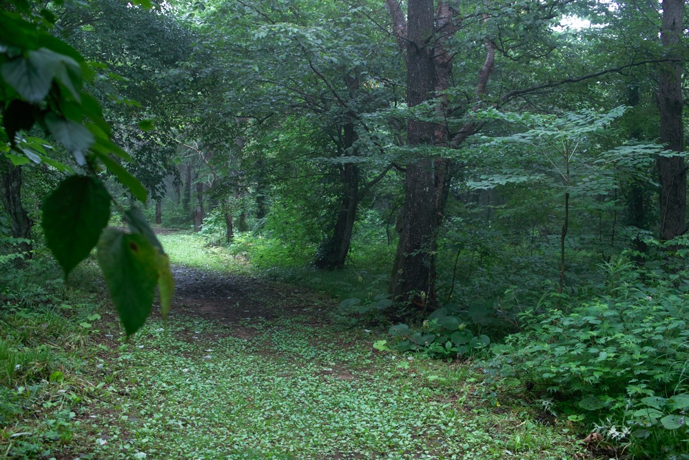 b0137311_21501272.jpg