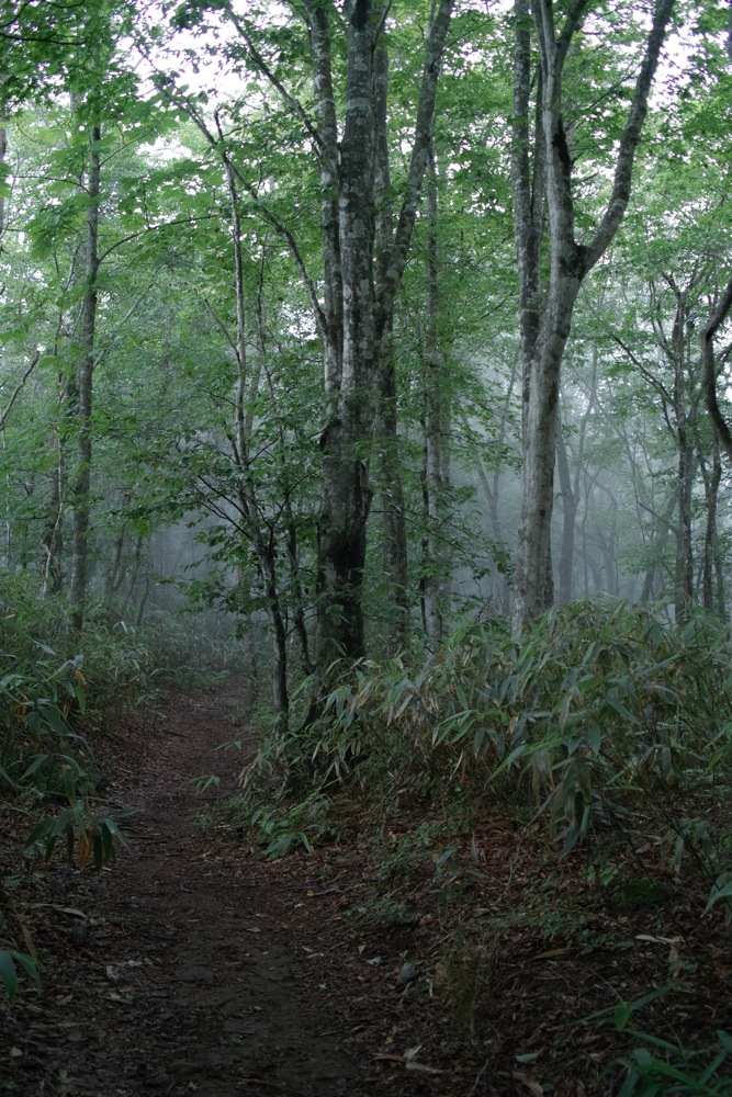 b0137311_21564695.jpg