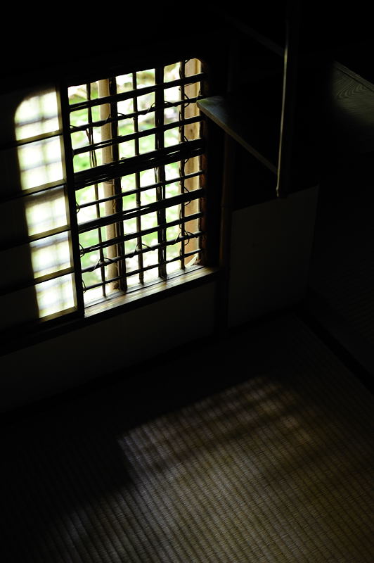 真夏の高桐院　その二_f0032011_1923284.jpg