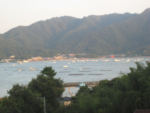 b0131012_1236597.jpg